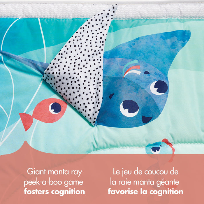 Petit amour, trésor des océans Gymini