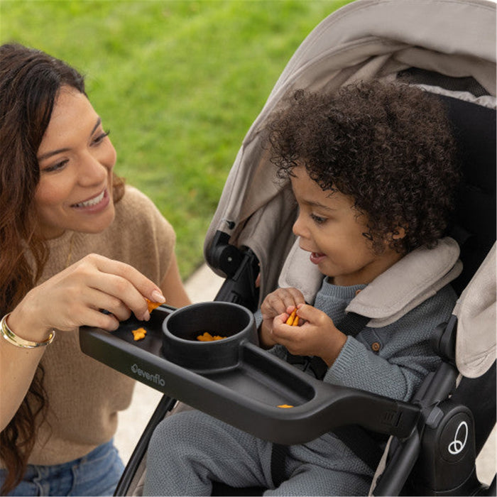Evenflo Omni Signature Travel System
