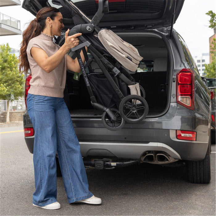 Evenflo Omni Signature Travel System