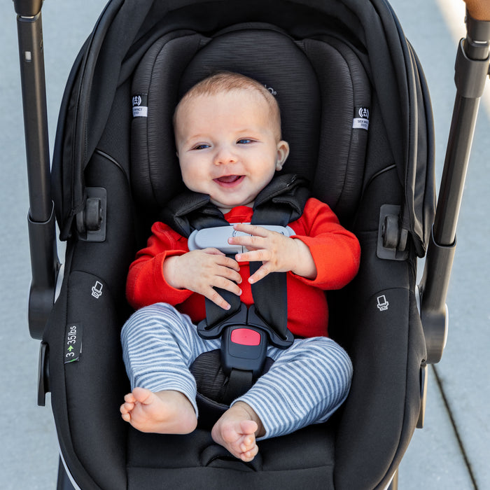 Evenflo Gold Shyft Dual Ride Travel System