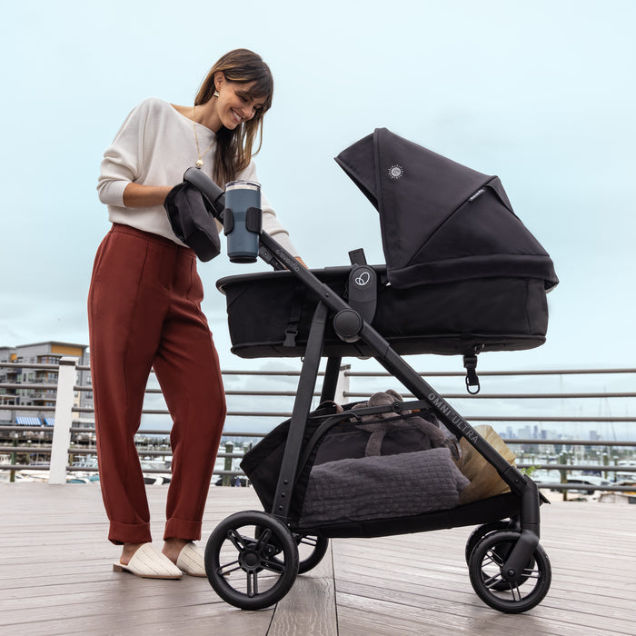 Evenflo Omni Ultra Travel System