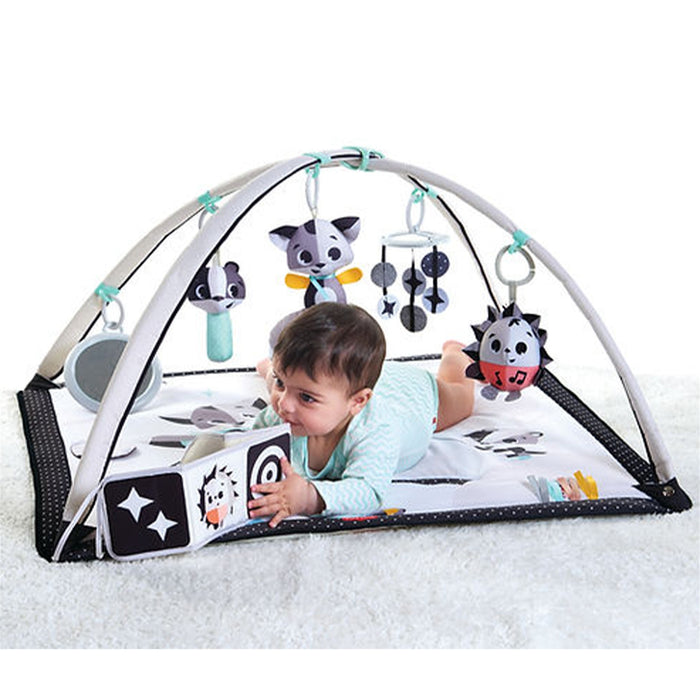 Petits contes magiques d'amour Gymini noir et blanc