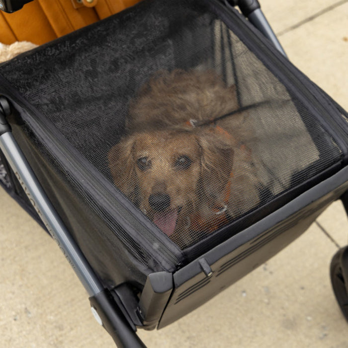 Evenflo Pivot Troop Child and Pet Modular Travel System