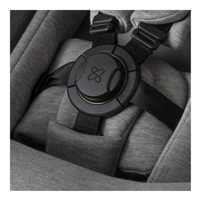Orbite du groupe de nouveau-nés du récif Silver Cross