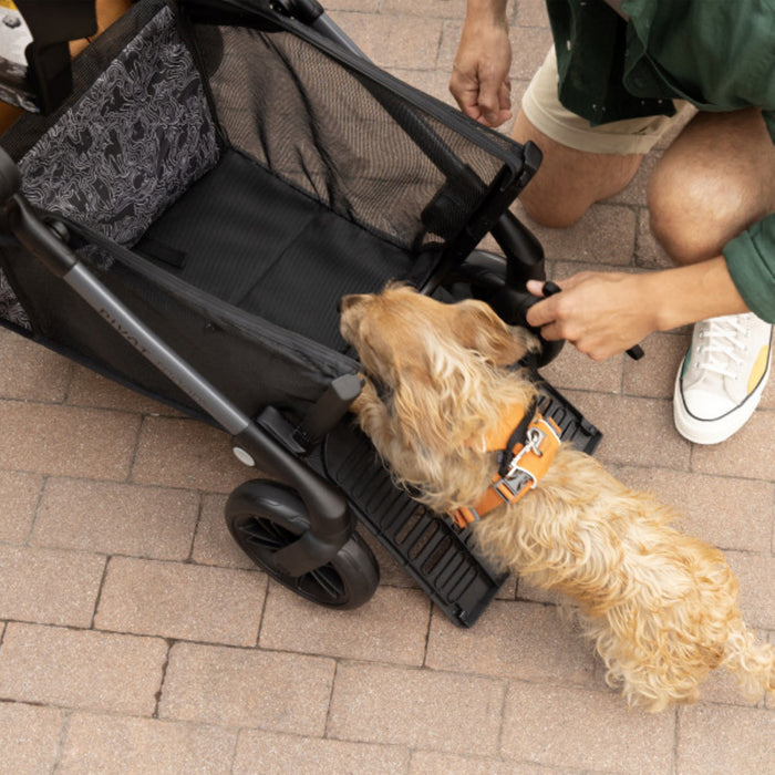 Evenflo Pivot Troop Child and Pet Modular Travel System