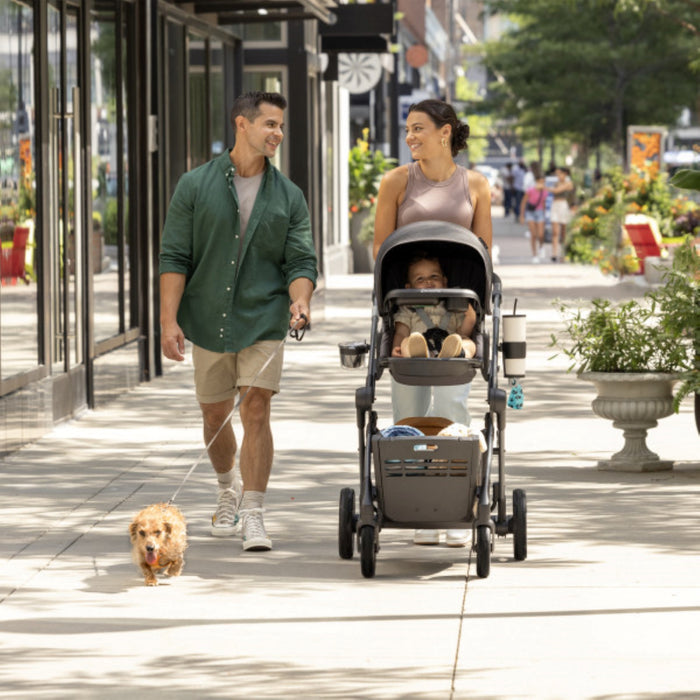 Evenflo Pivot Troop Child and Pet Modular Travel System